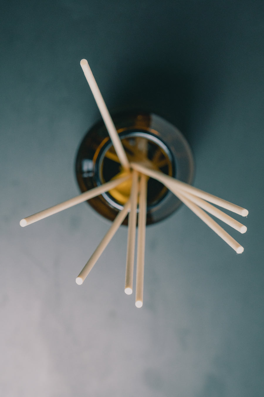 The Still Series | Reed Diffuser Extra Reeds
