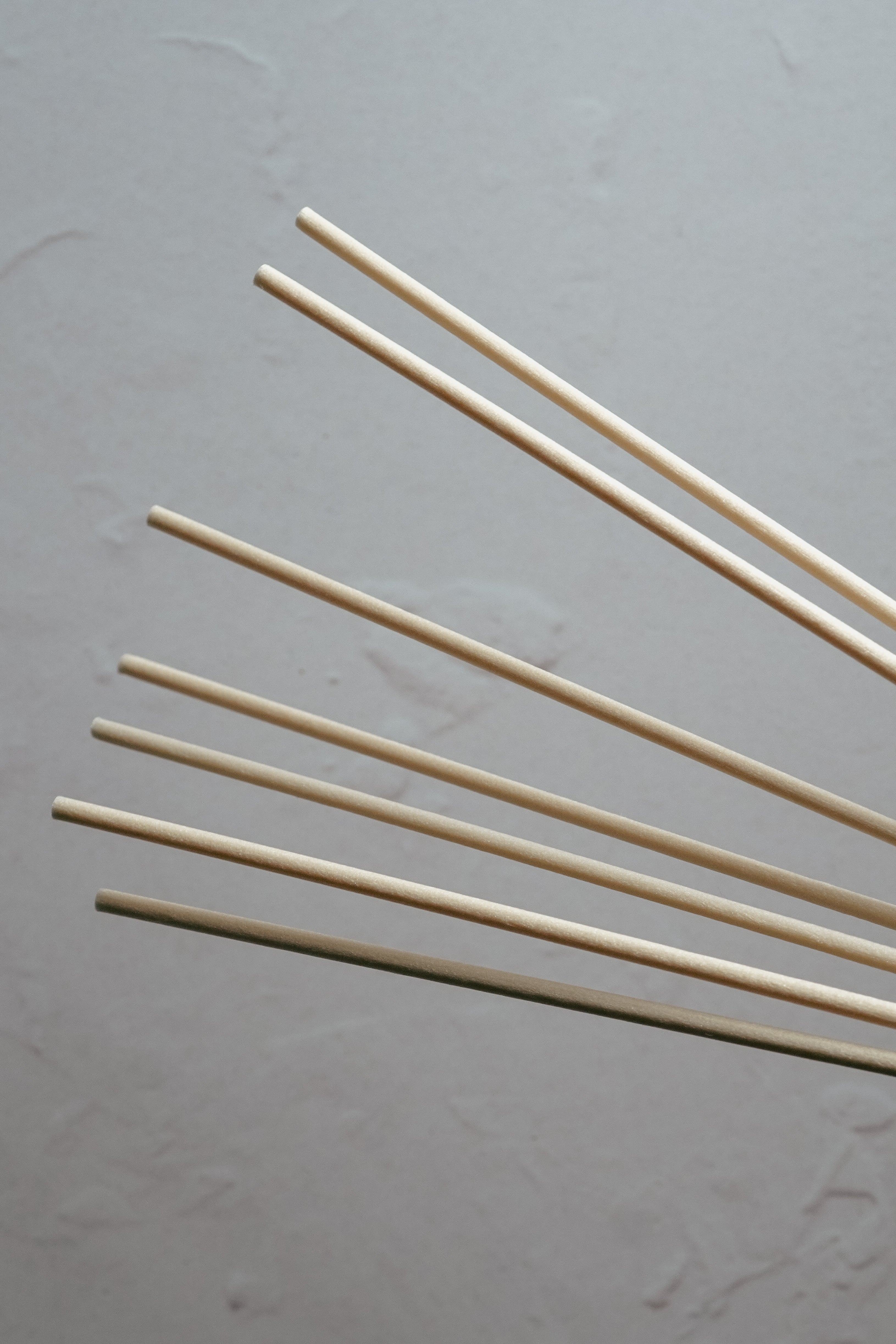 The Still Series | Reed Diffuser Extra Reeds
