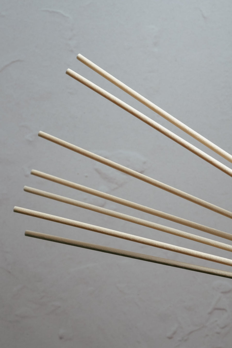 The Still Series | Reed Diffuser Extra Reeds