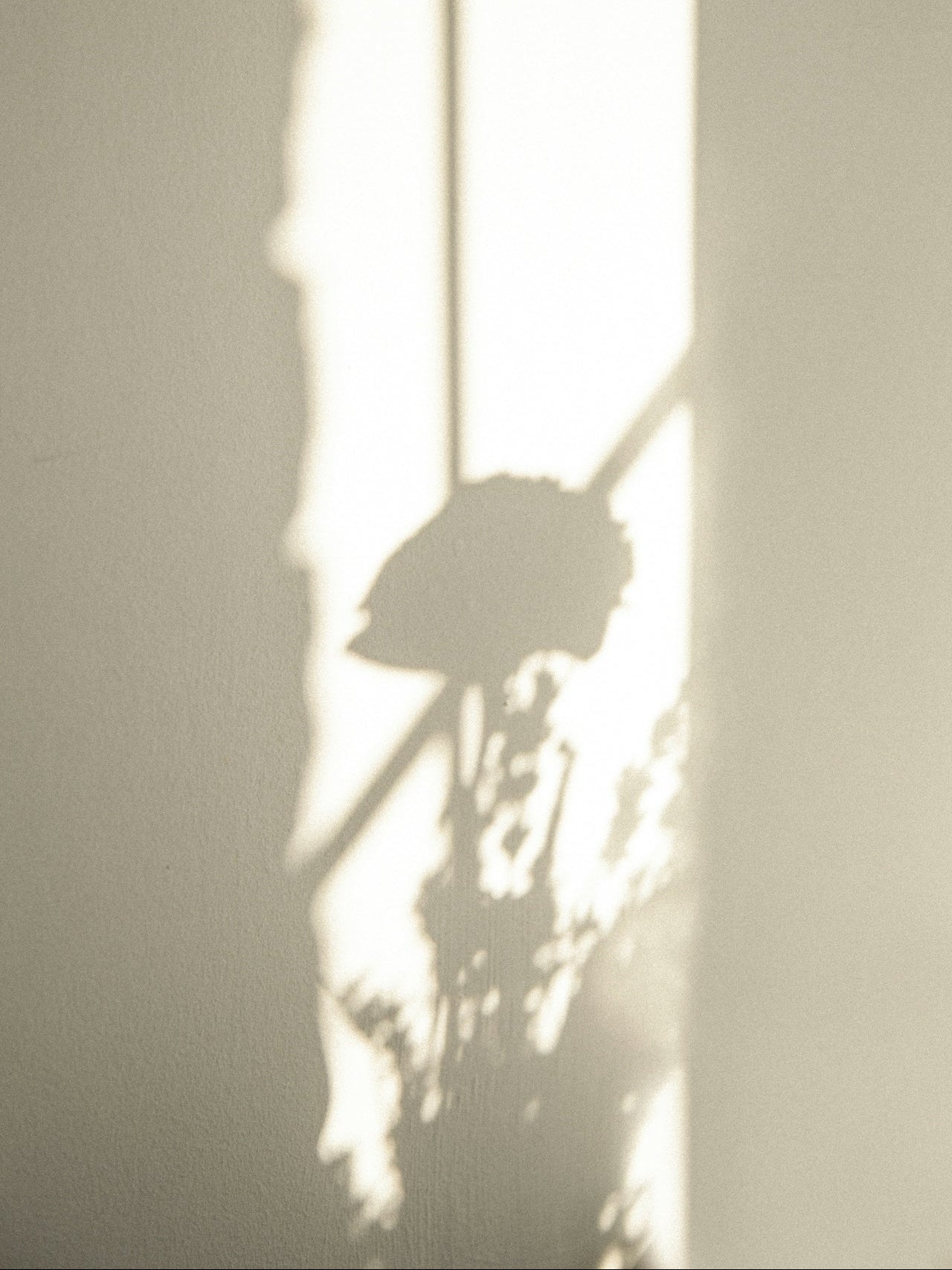More Light