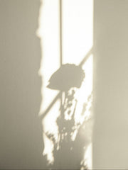 More Light