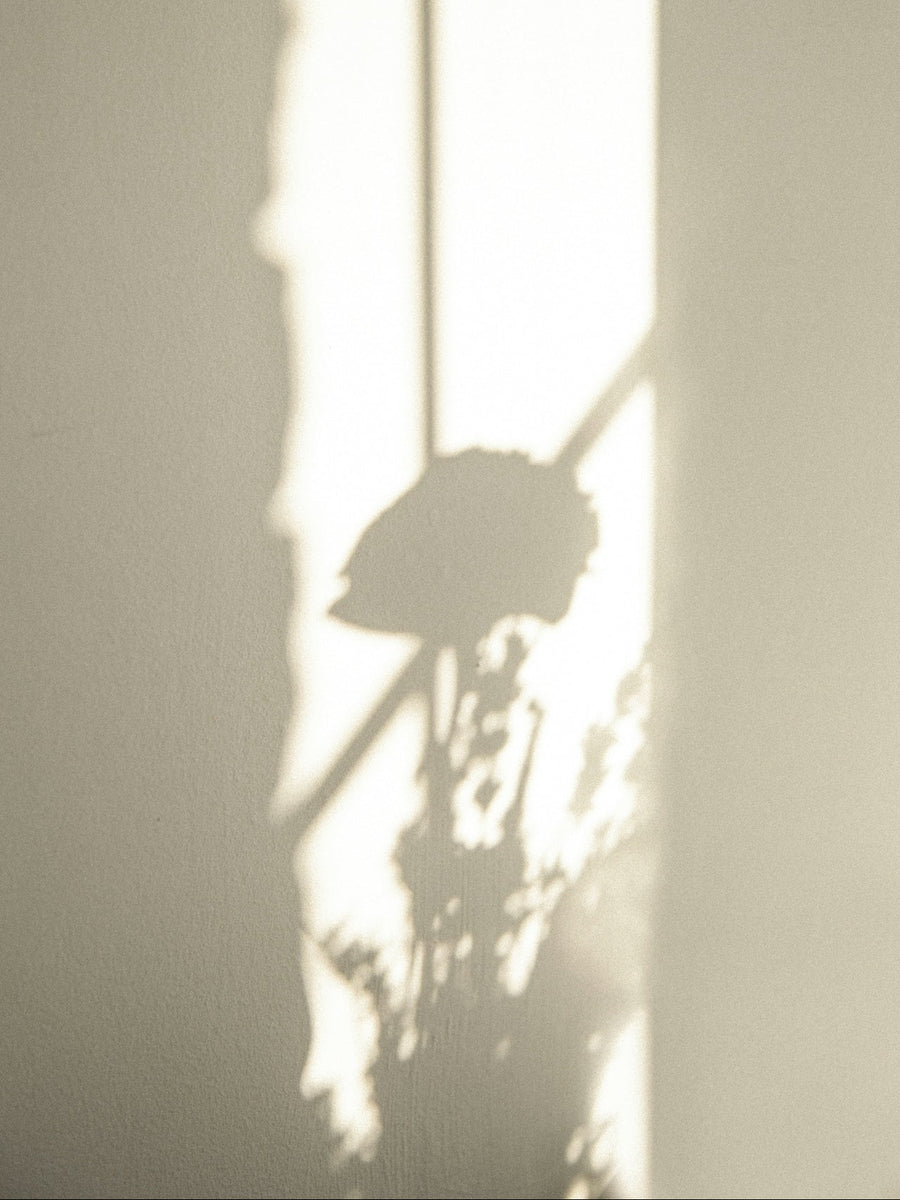 More Light